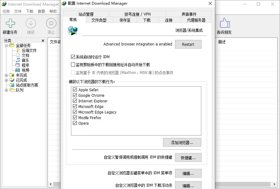 Internet Download Manager截图