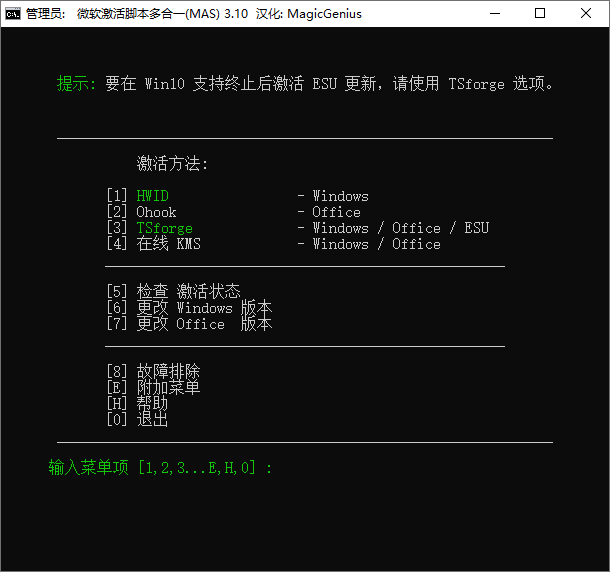 Microsoft Activation Scripts截图