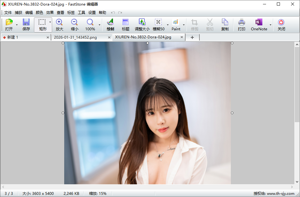 FastStone Capture截图