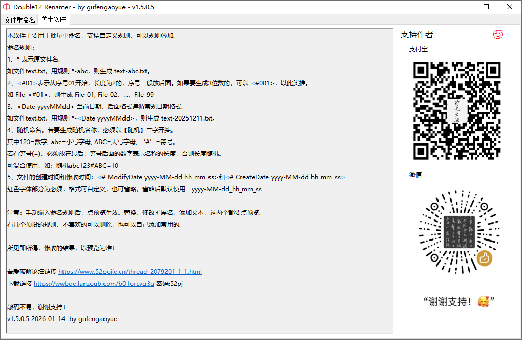 Double12 Renamer截图