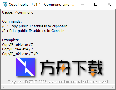 Copy Public IP截图