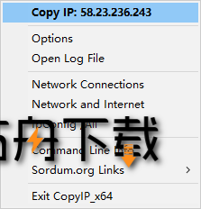 Copy Public IP截图