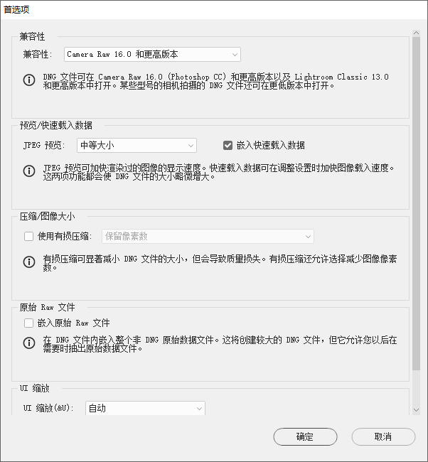 Adobe DNG Converter截图