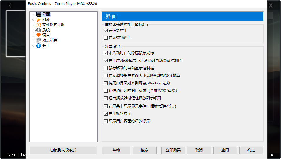 Zoom Player MAX截图