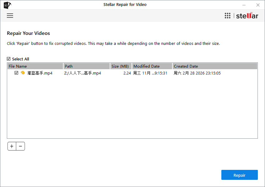 Stellar Repair for Video截图