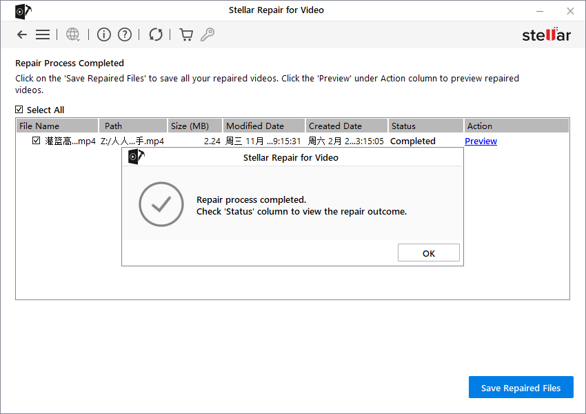 Stellar Repair for Video截图