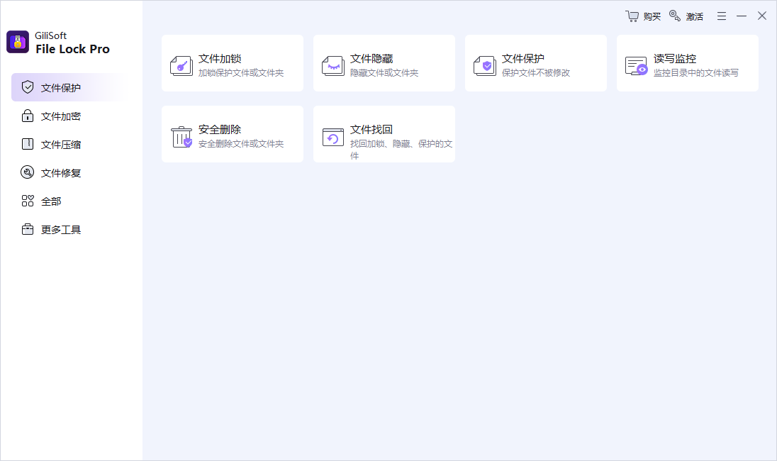 GiliSoft File Lock截图