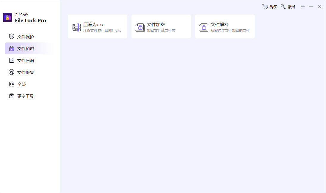 GiliSoft File Lock截图