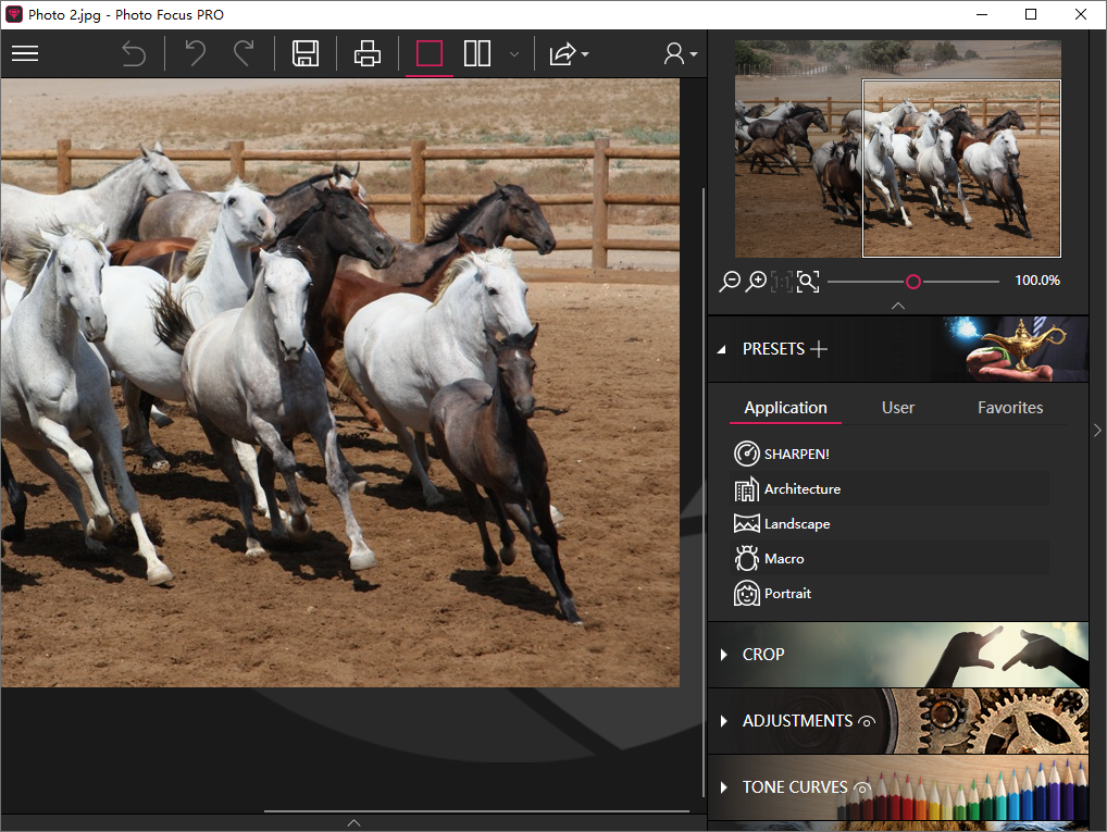 InPixio Photo Focus截图
