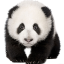 熊猫精灵脚本助手