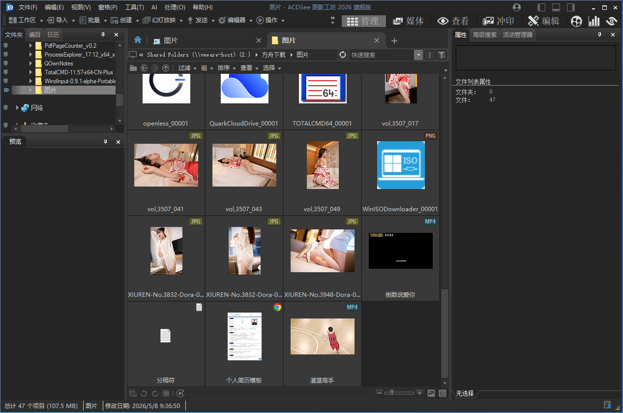 ACDSee旗舰版截图