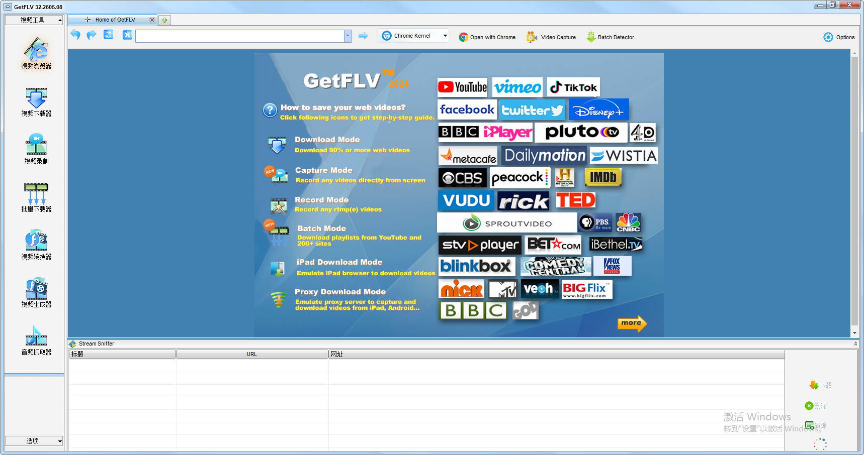 GetFLV截图
