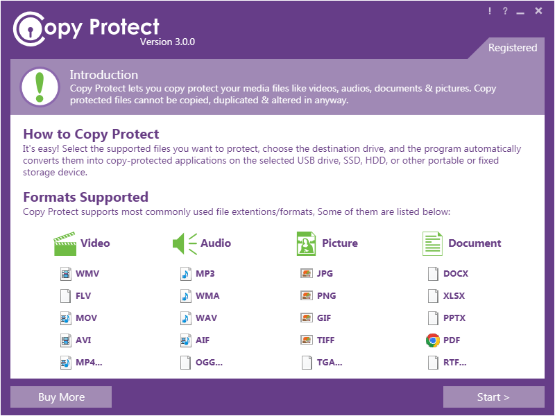 Copy Protect截图