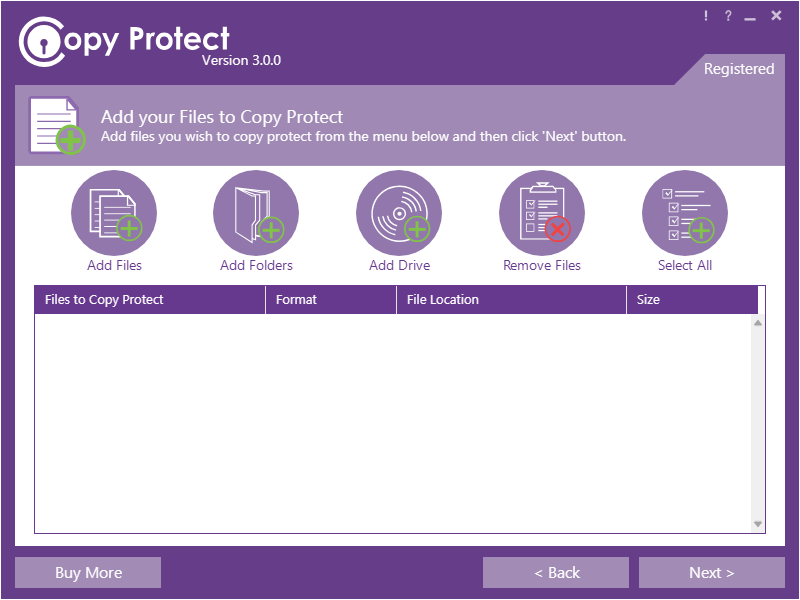 Copy Protect截图