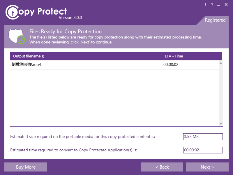 Copy Protect截图