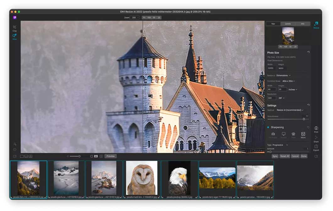 ON1 Resize AI截图