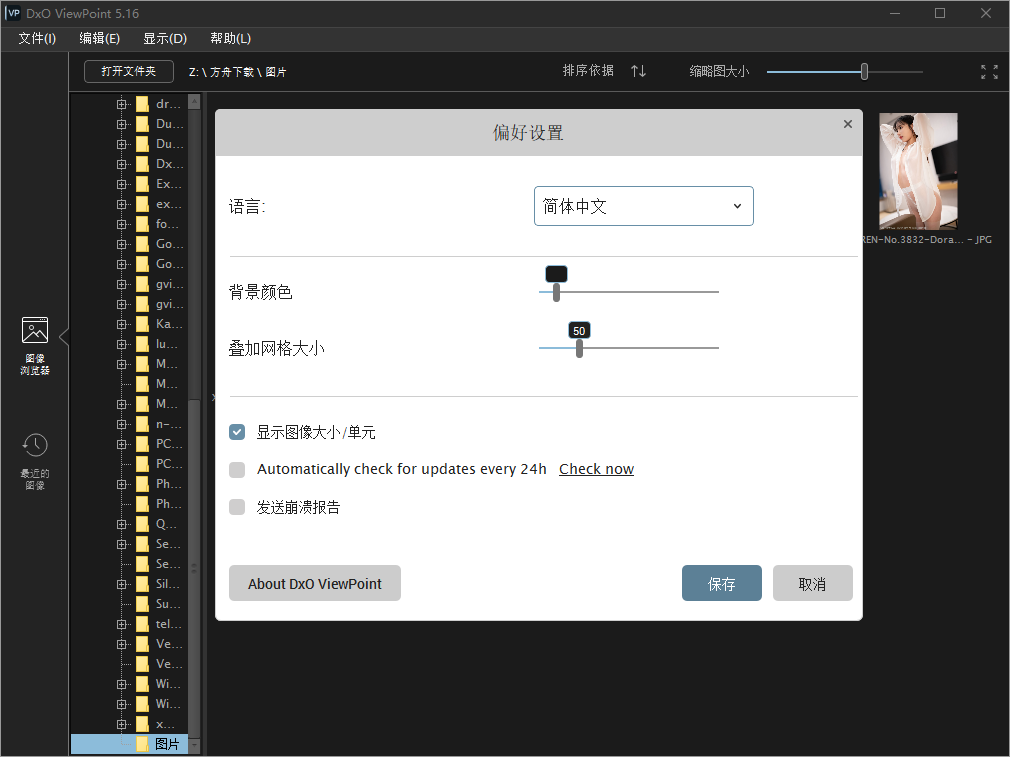 DxO ViewPoint截图