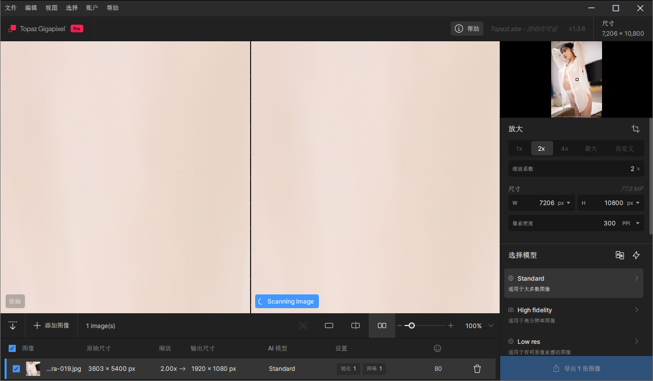 Topaz Gigapixel截图