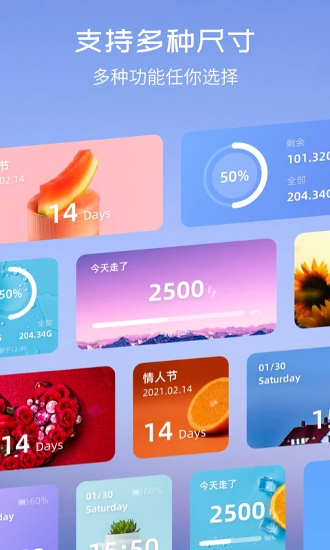 Top Widgets截图
