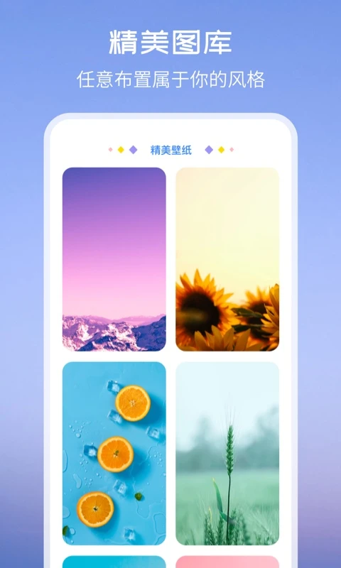 Top Widgets截图