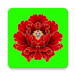 绿植花卉