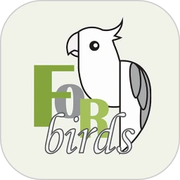 致鸟forbirds