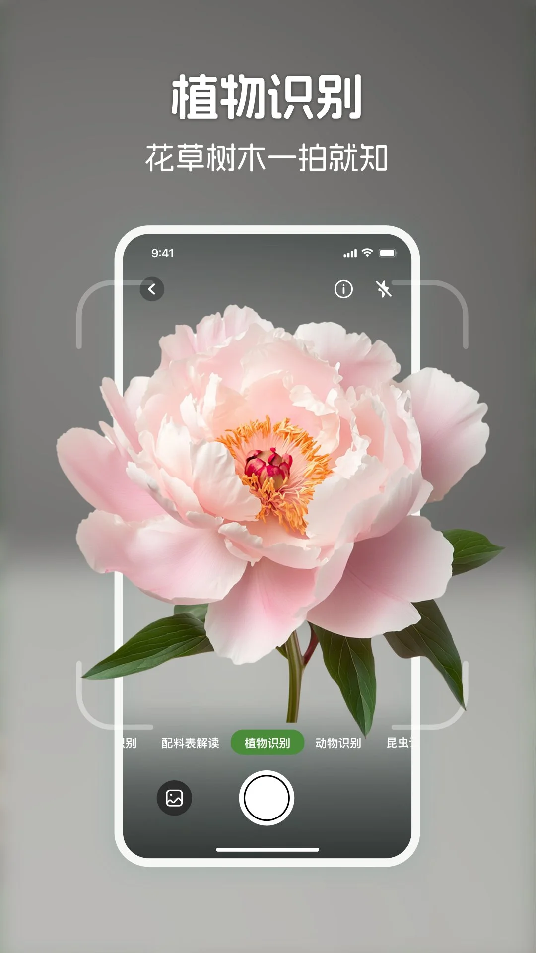 识花君截图