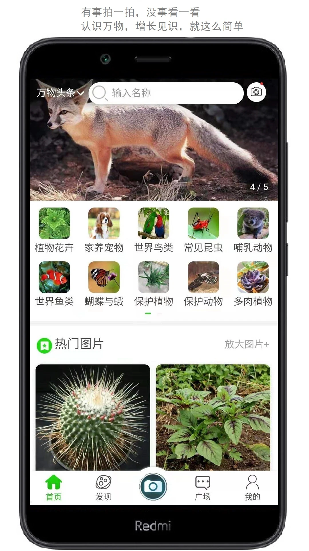 万物志截图