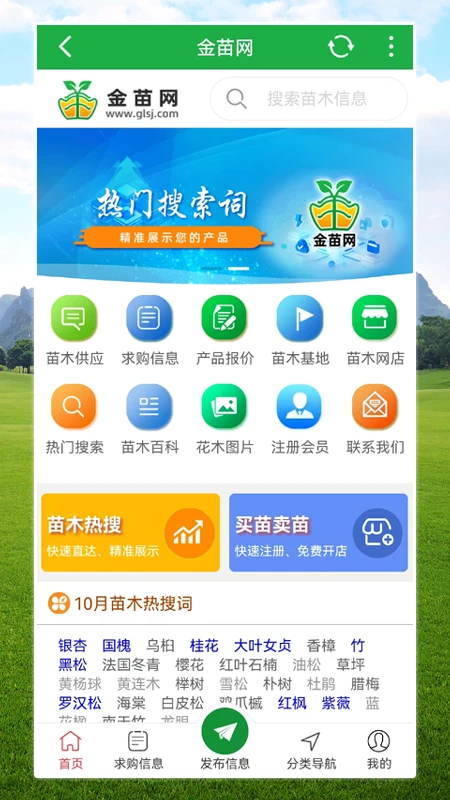 金苗网截图
