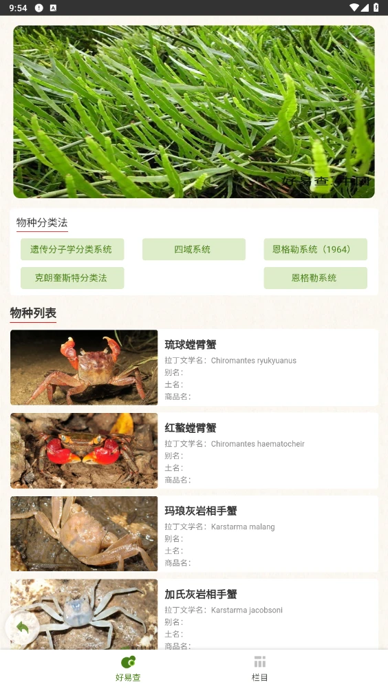好易查截图