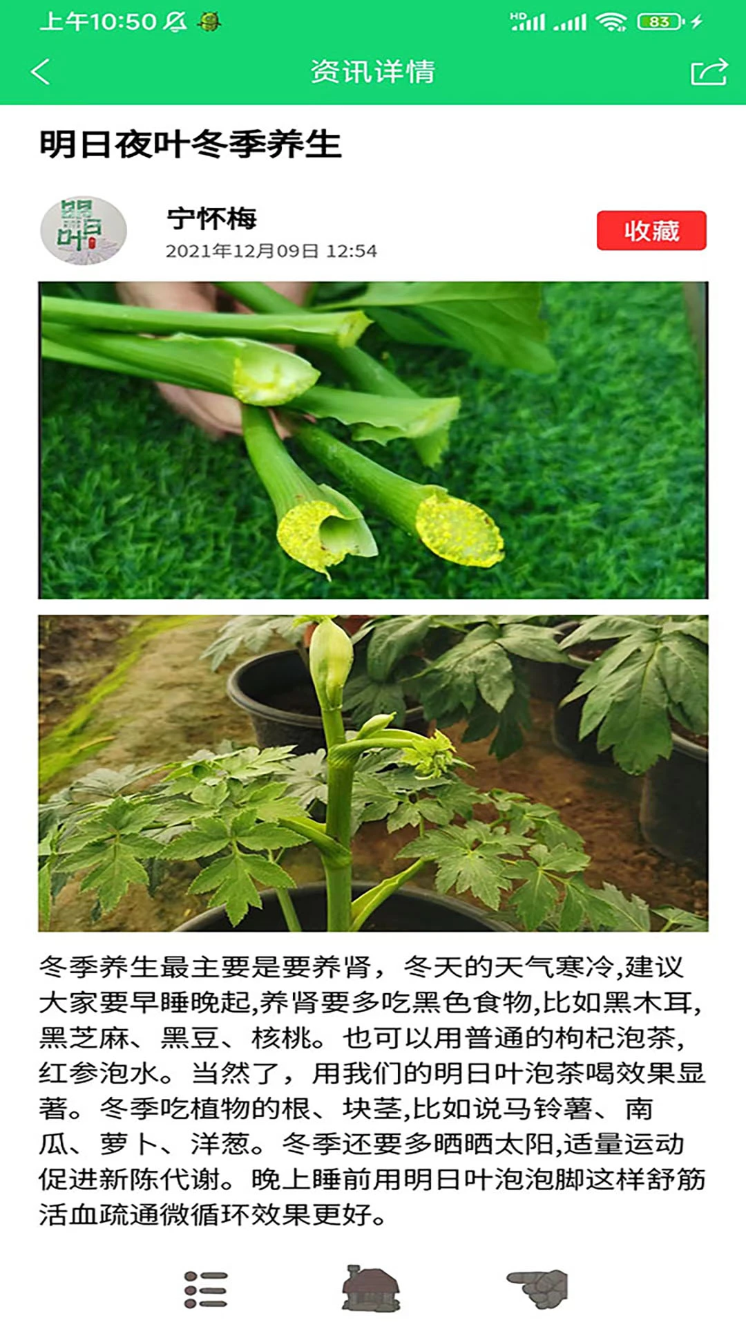 家庭桃源截图