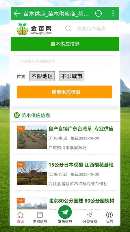 金苗网截图
