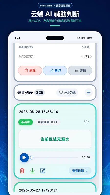 LeakSonar截图