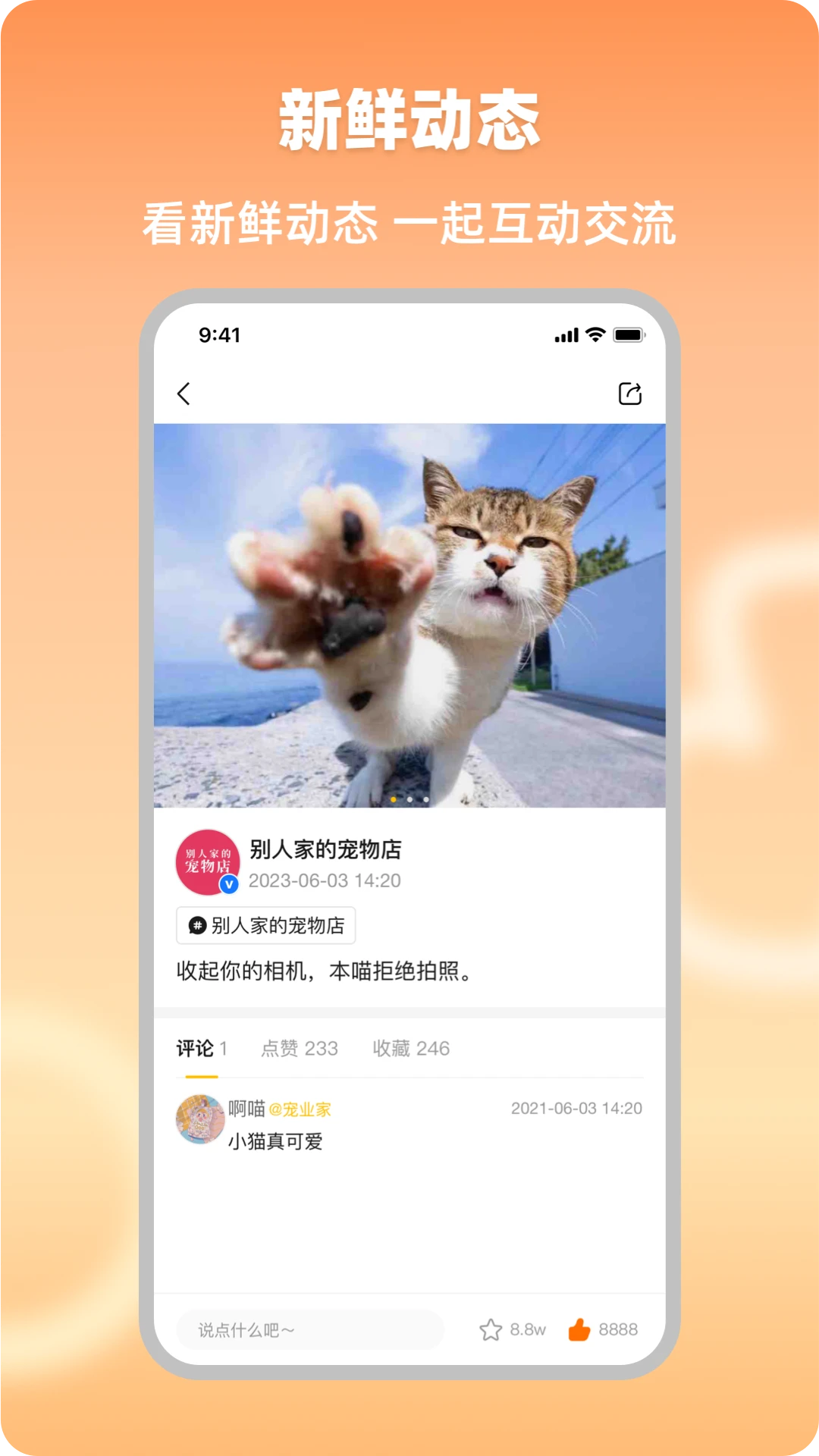 宠业家截图