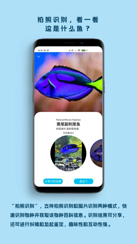 看鱼截图