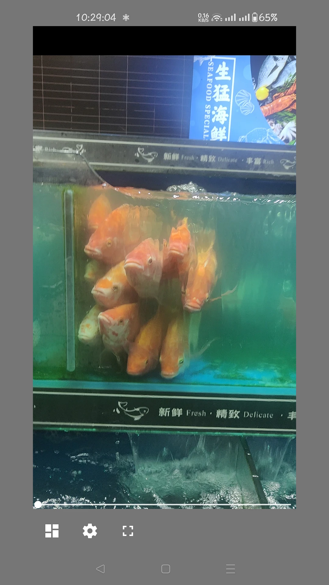 卡片看图截图