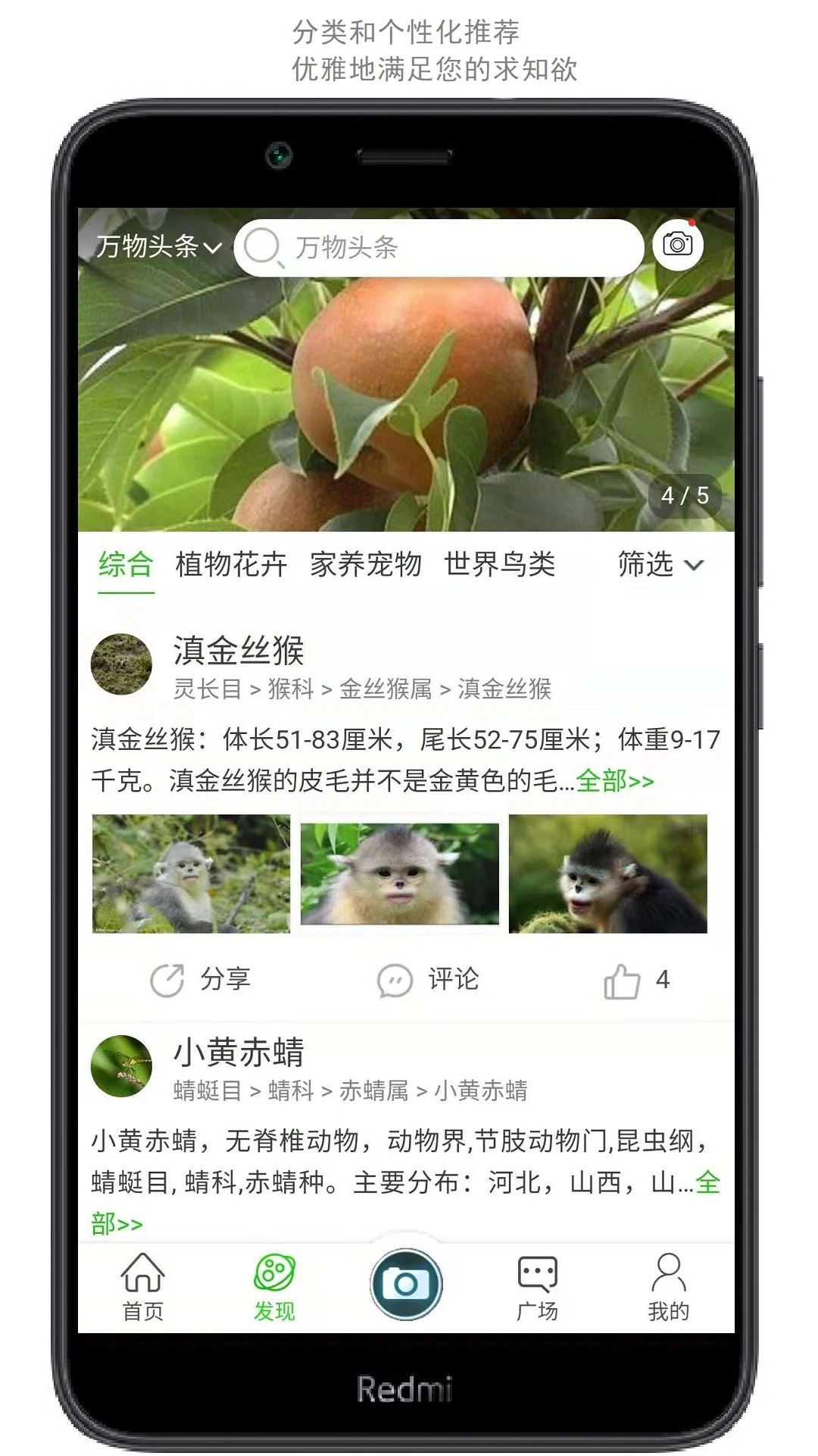 万物志截图