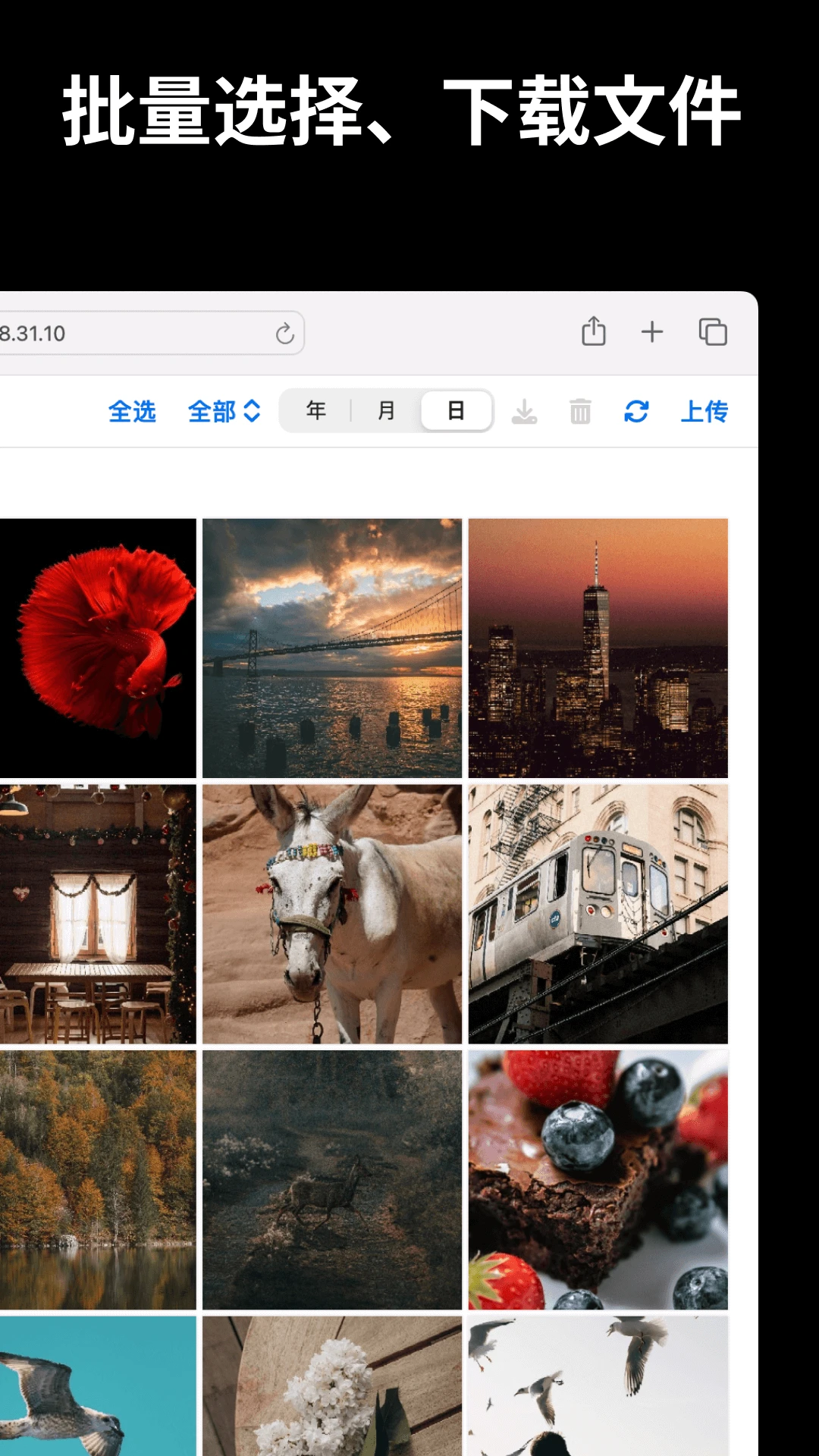文件闪传截图