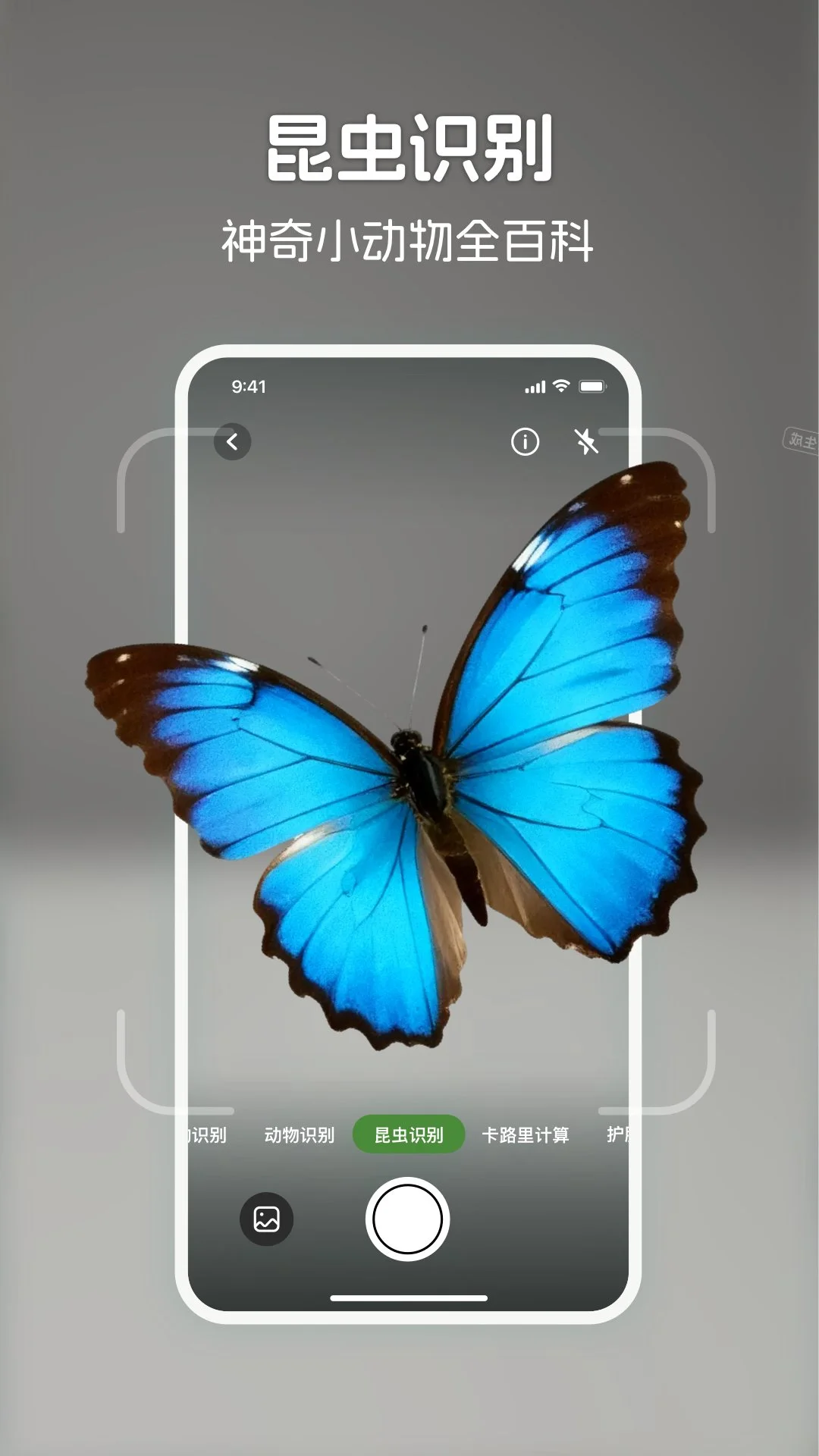 识花君截图