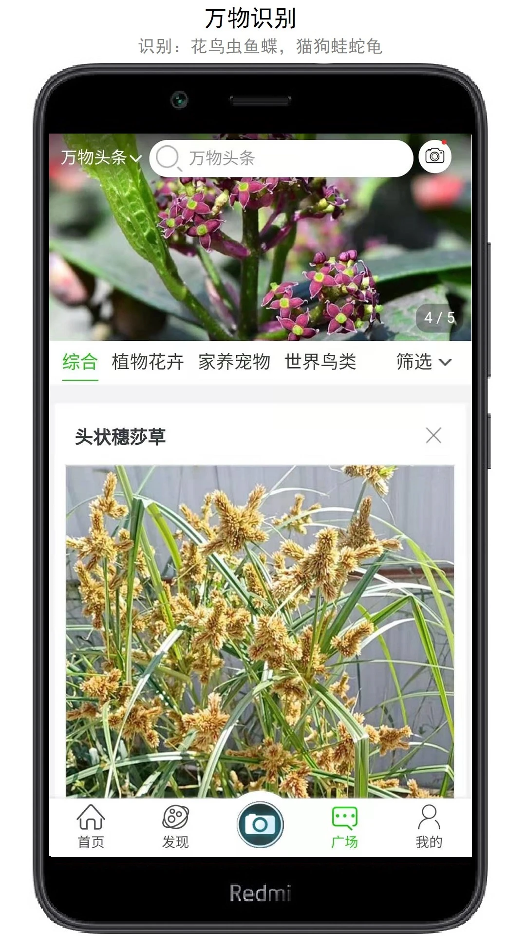 万物志截图
