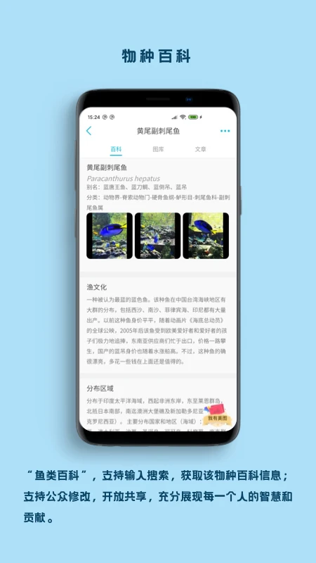 看鱼截图