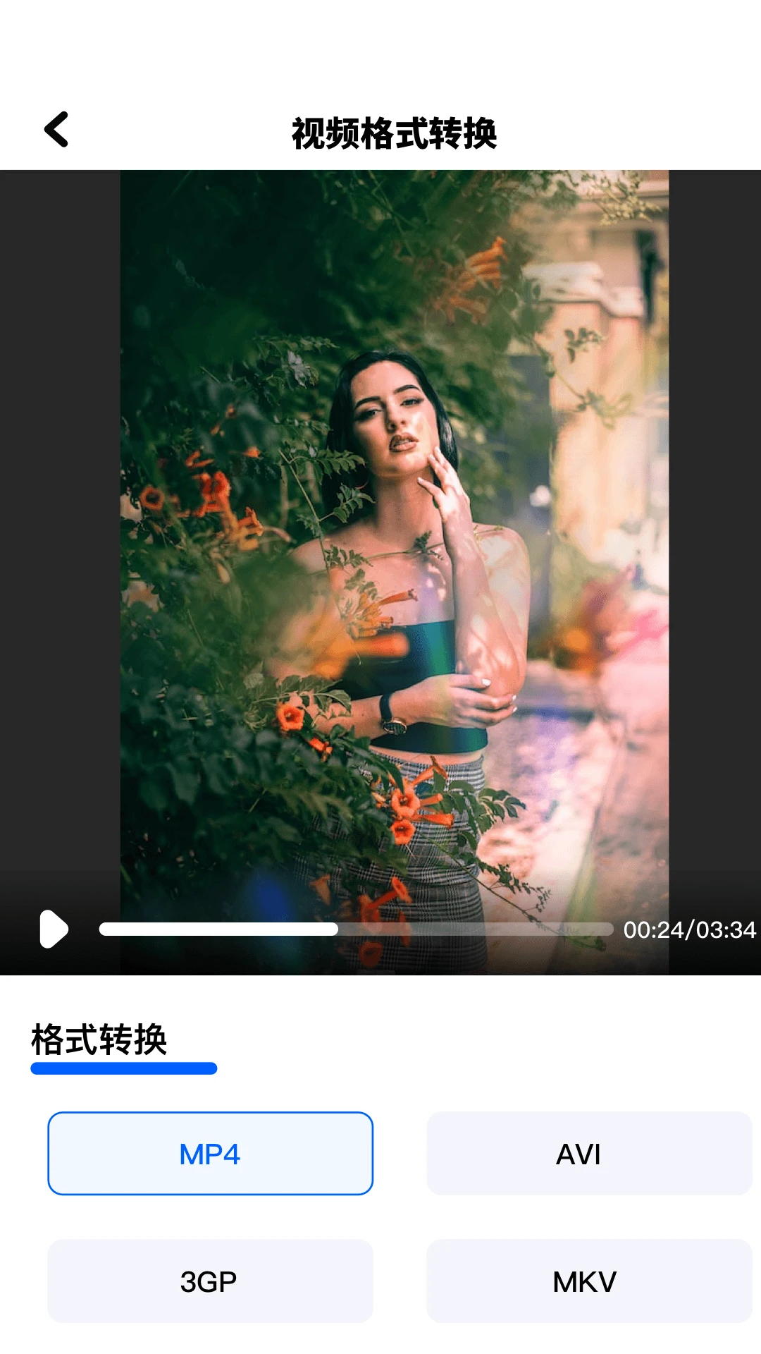 cad转pdf截图