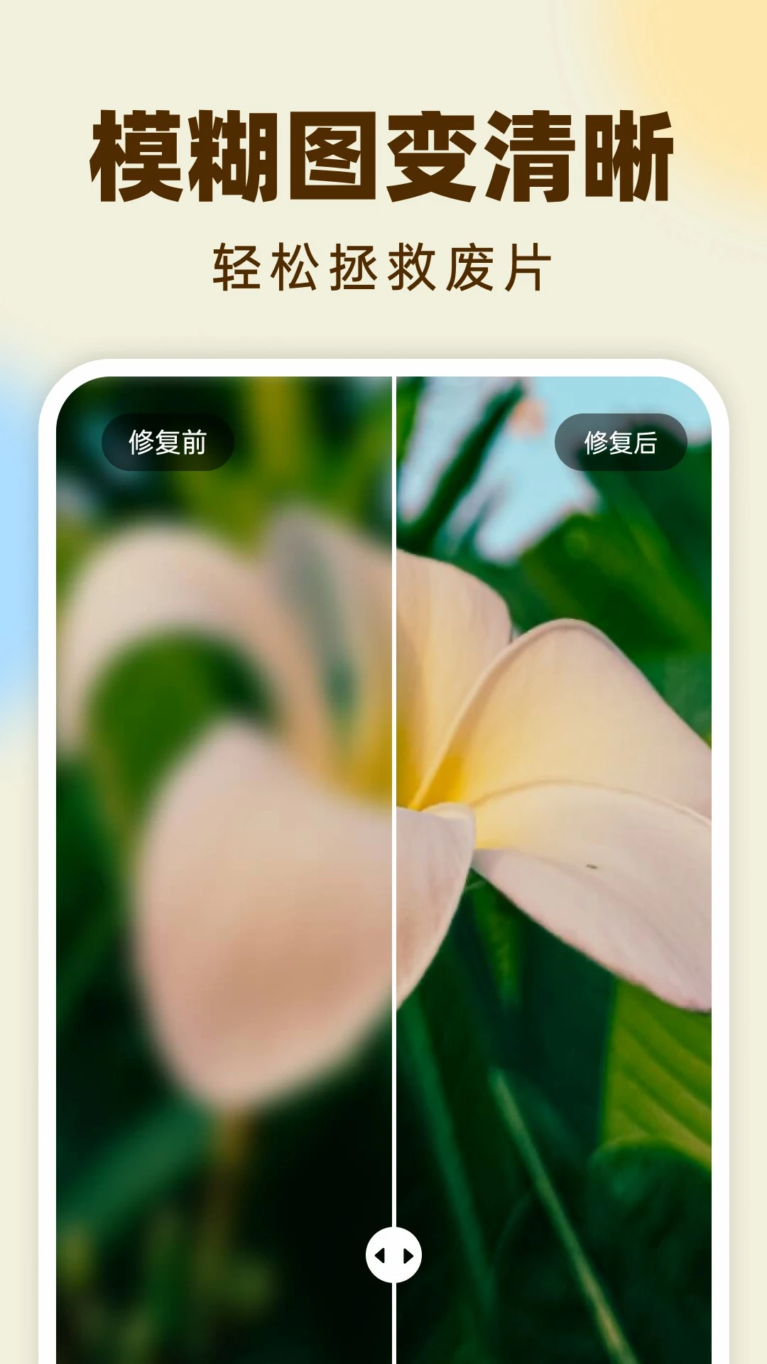 柠檬照片管家截图