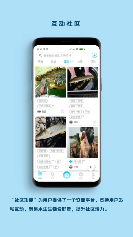 看鱼截图