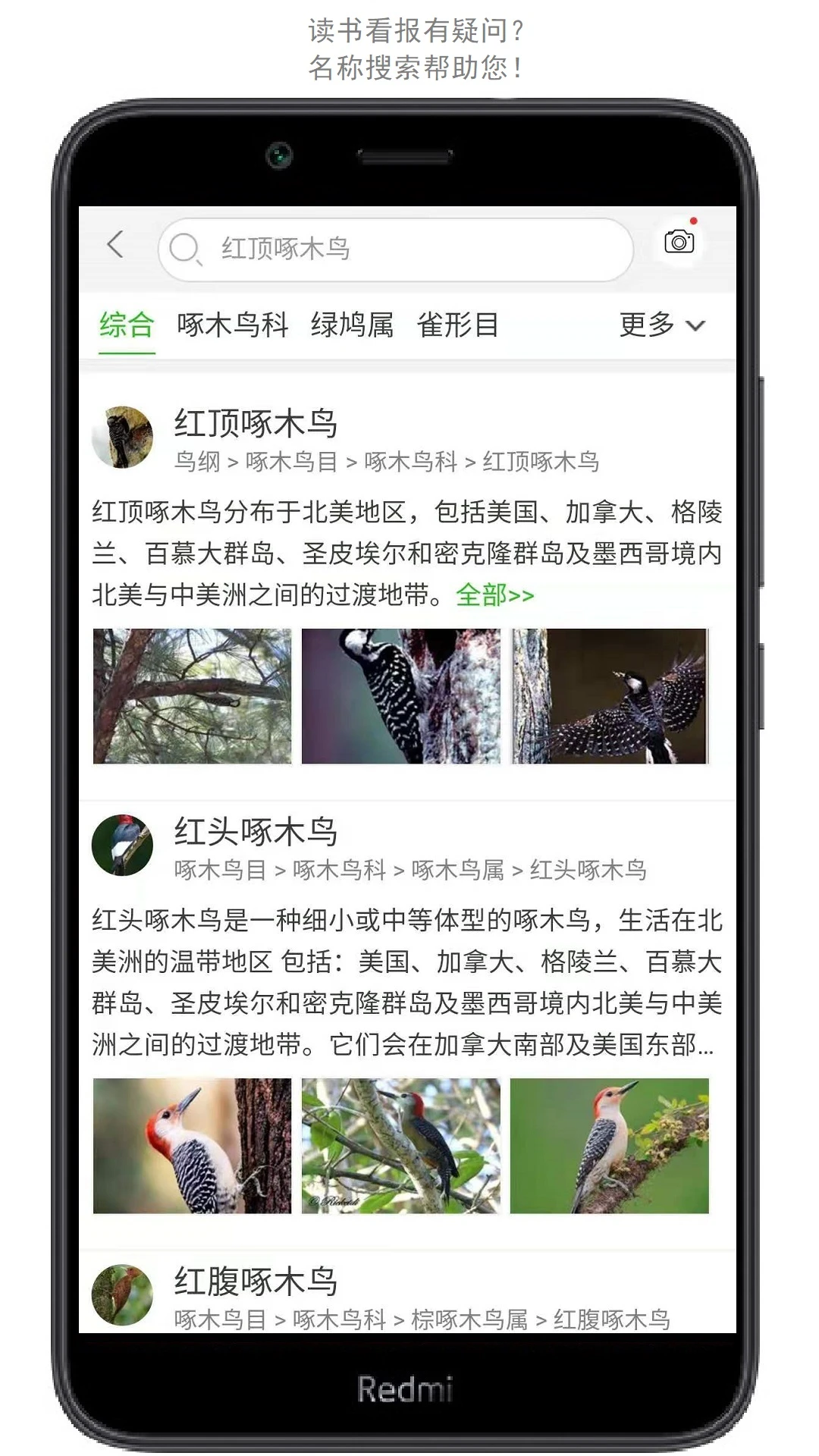 万物志截图