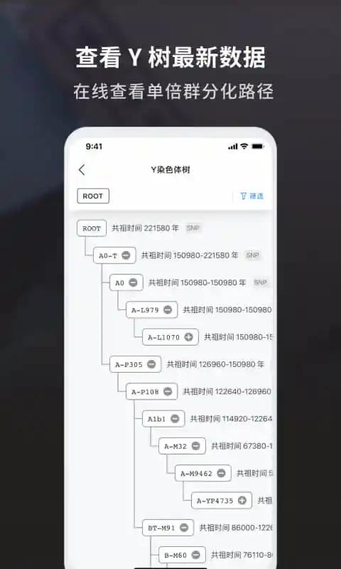 DNA里的历史截图
