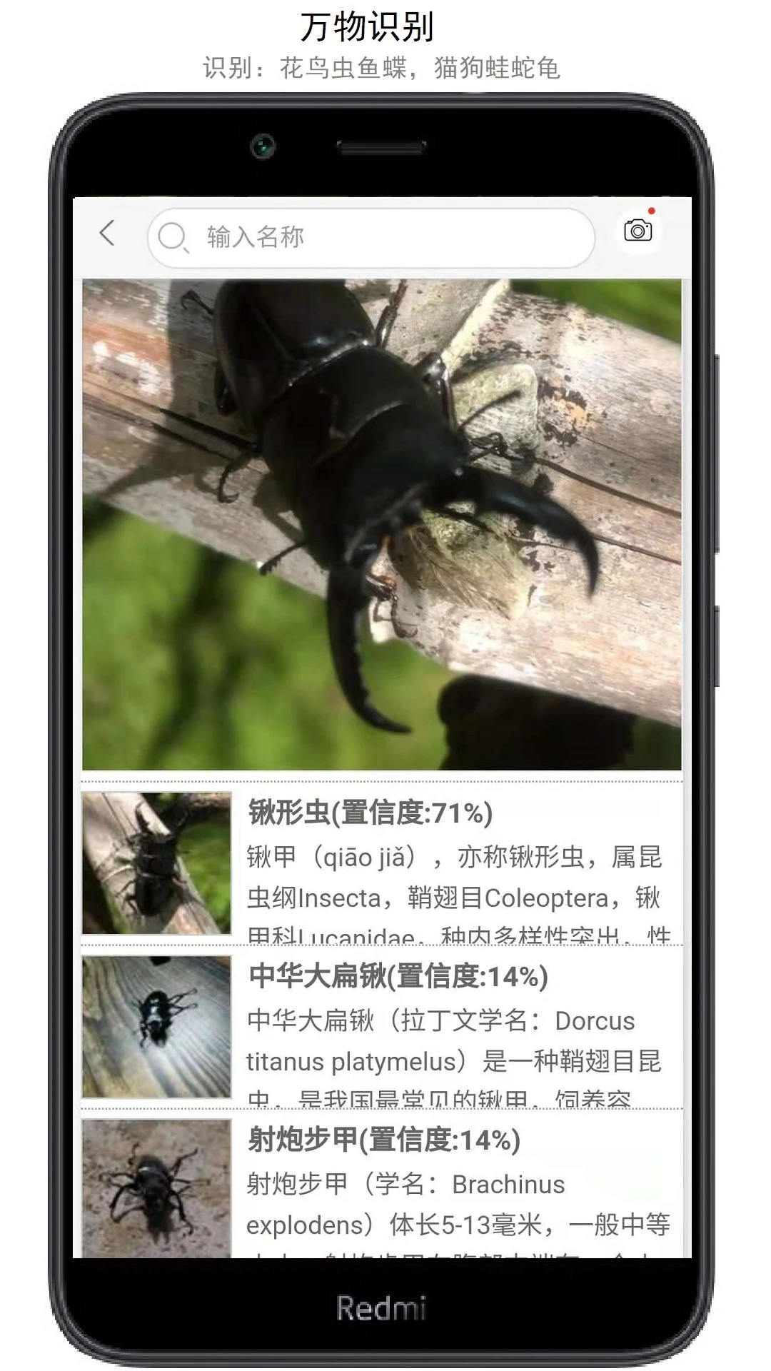 万物志截图