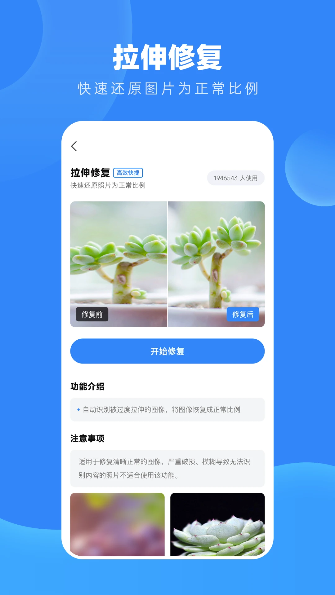 旧照高清修复截图