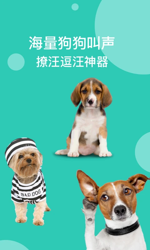 狗语翻译截图