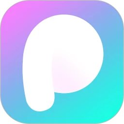 P图